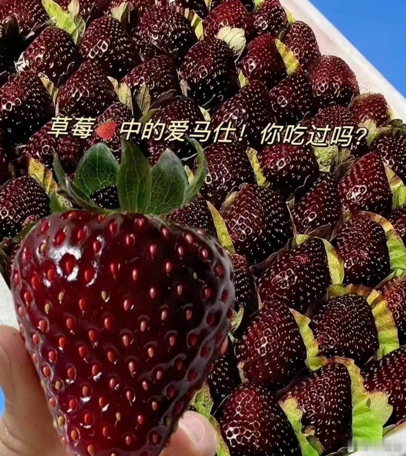 10元一斤草莓和300元一斤草莓区别没吃过300一斤的 还真说不上来区别 