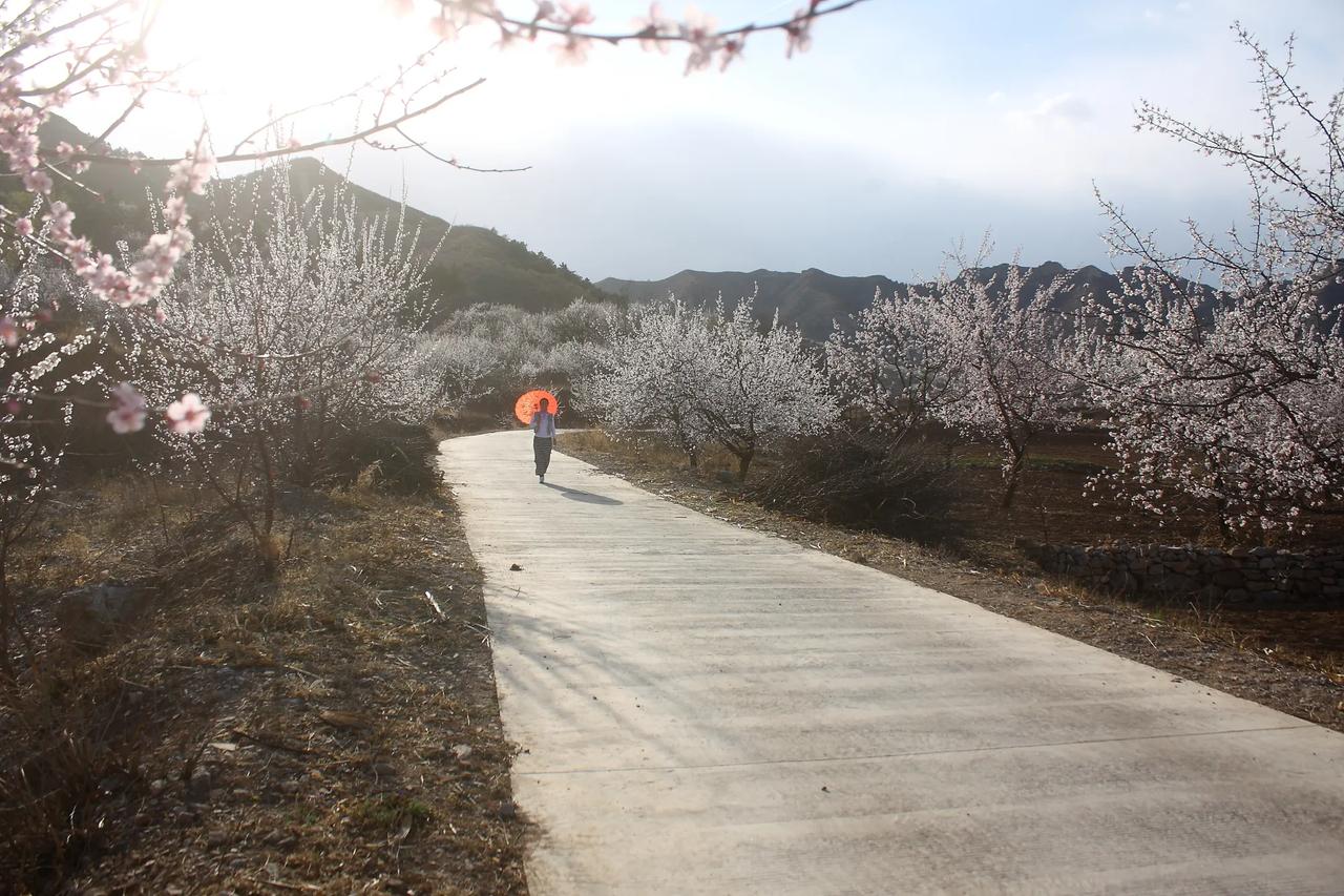 凌源景观系列之七十一——瓦房店鸡冠山
​                    