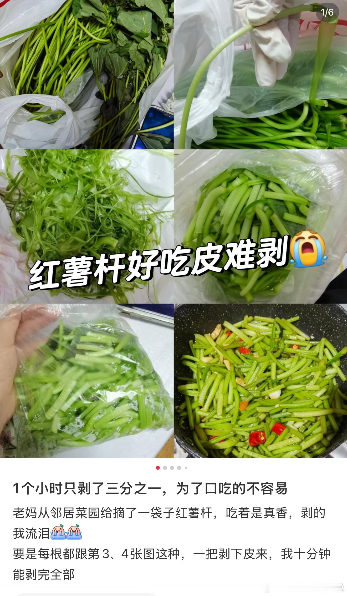 我这满园的红薯藤，想要找点出路。刚在小红薯上找到了这种做法，有试过的小伙伴吗？ 