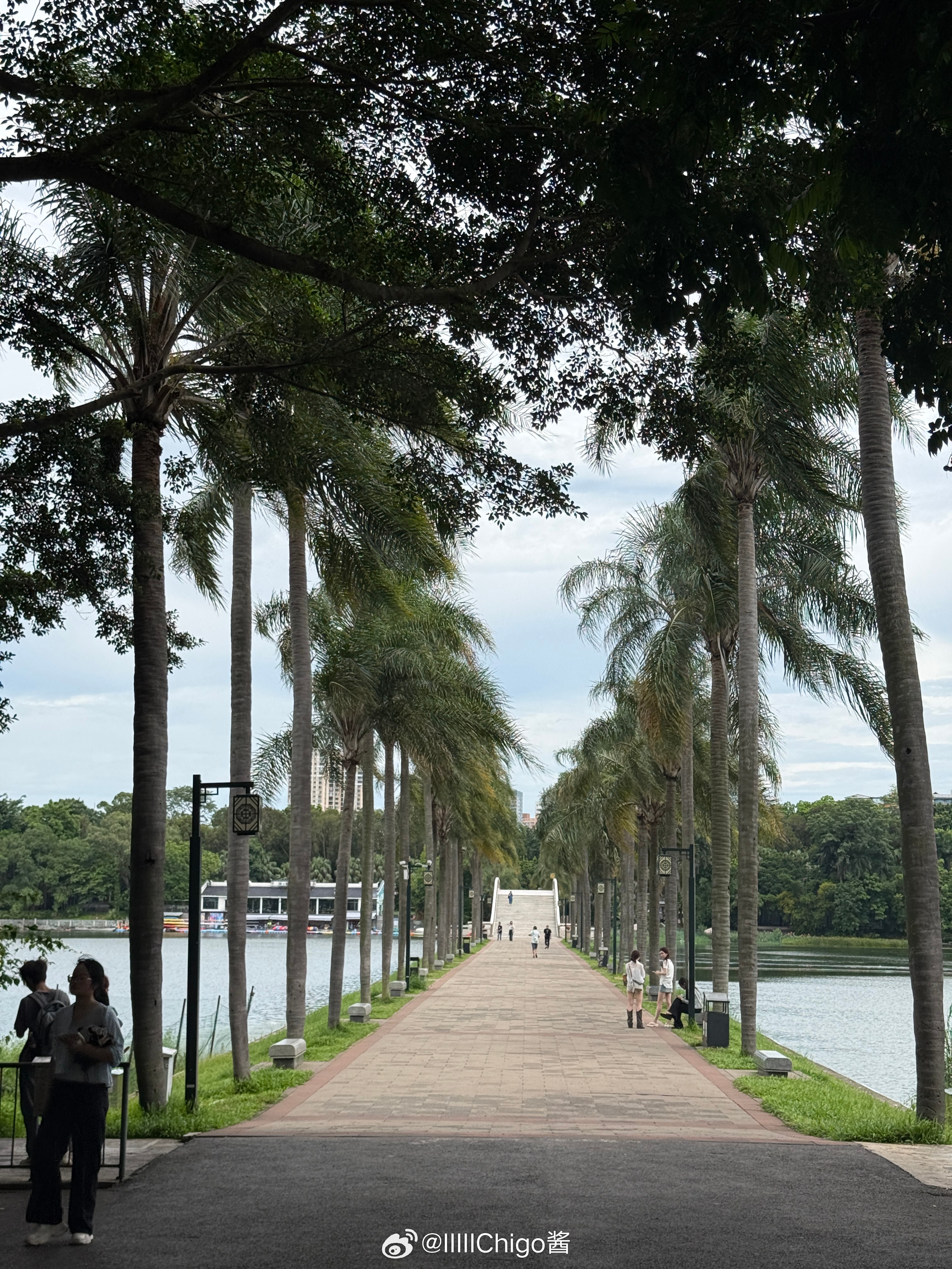 下午暴走南湖公园之后就开始乱七八糟地吃然后走路回酒店酸野是真的会上瘾 吃多也是会