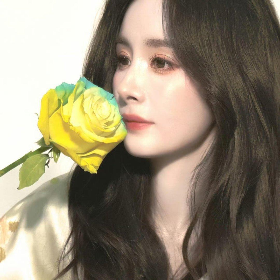 杨幂花花头像 