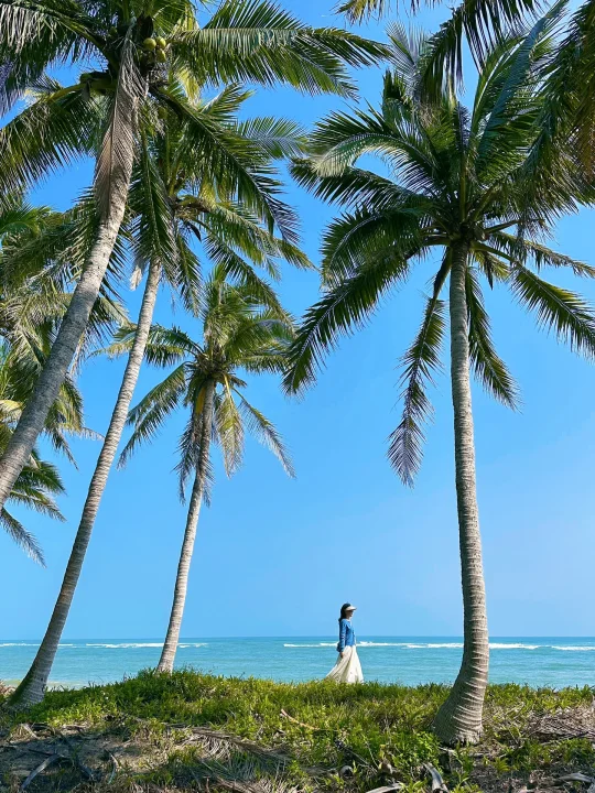 文昌 | 一个被严重低估的海边小城！人少景美