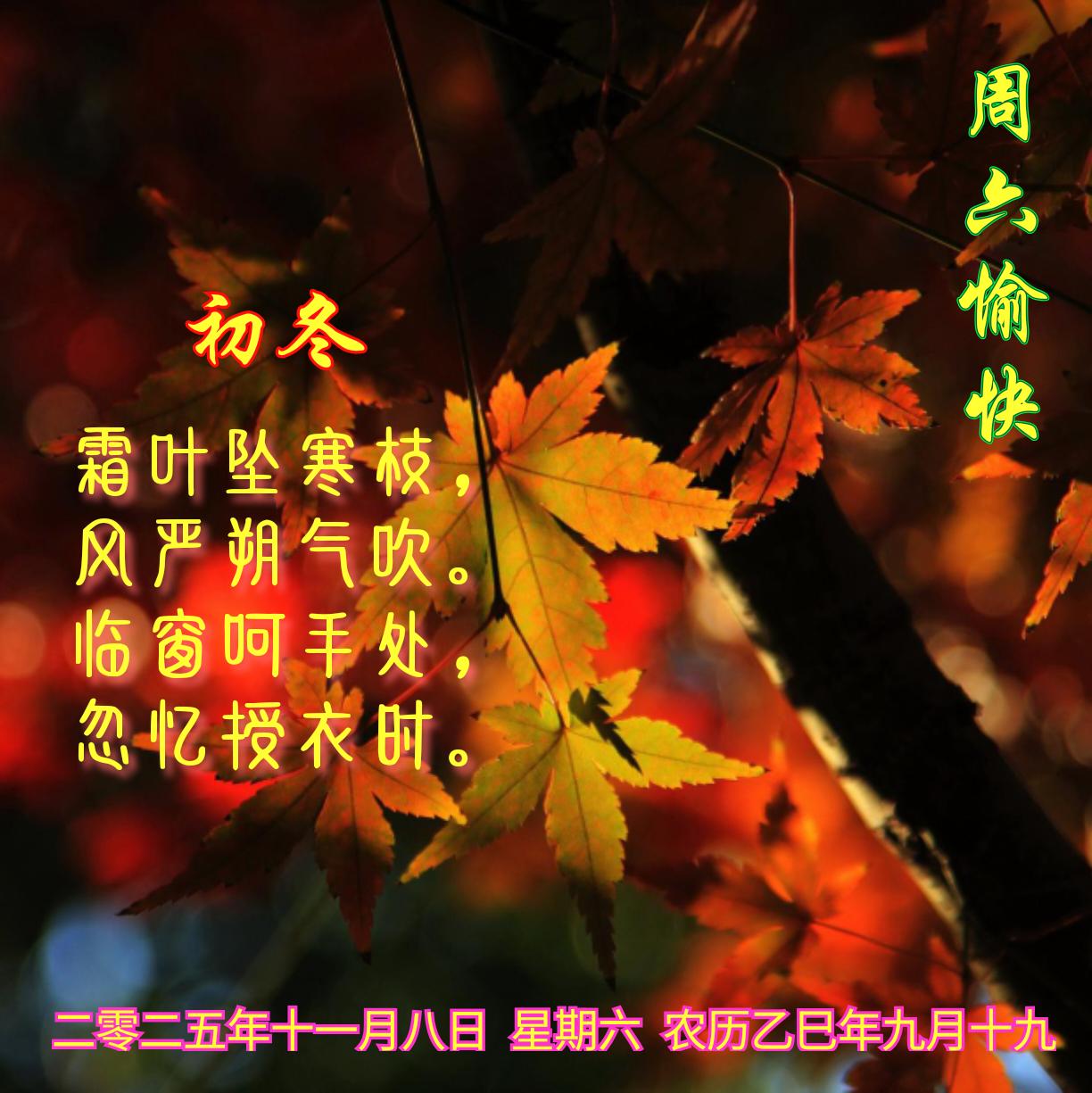 初冬
霜叶坠寒枝，
风严朔气吹。
临窗呵手处，
忽忆授衣时。