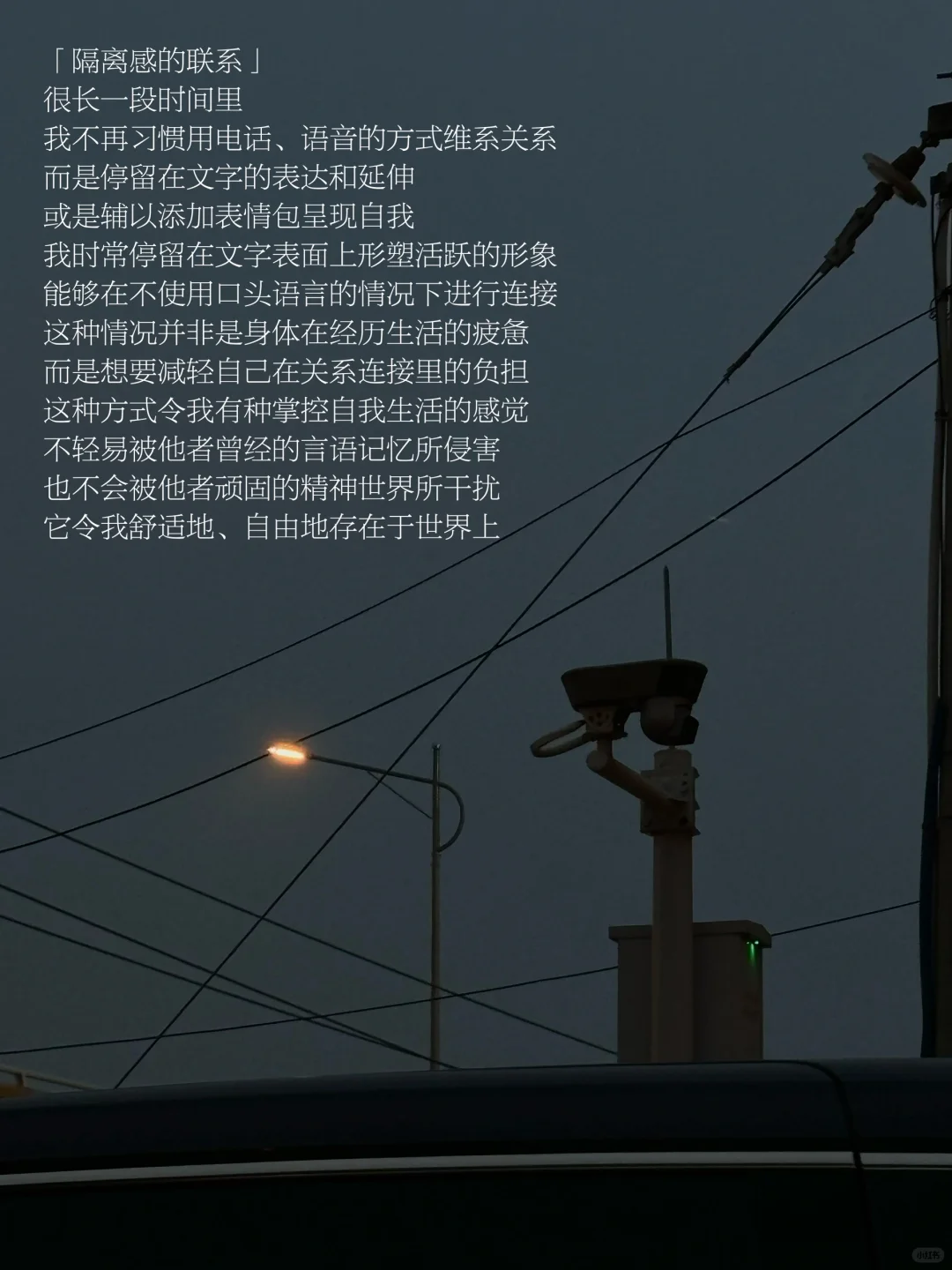 随笔｜我时常在文字里建构活跃的自我