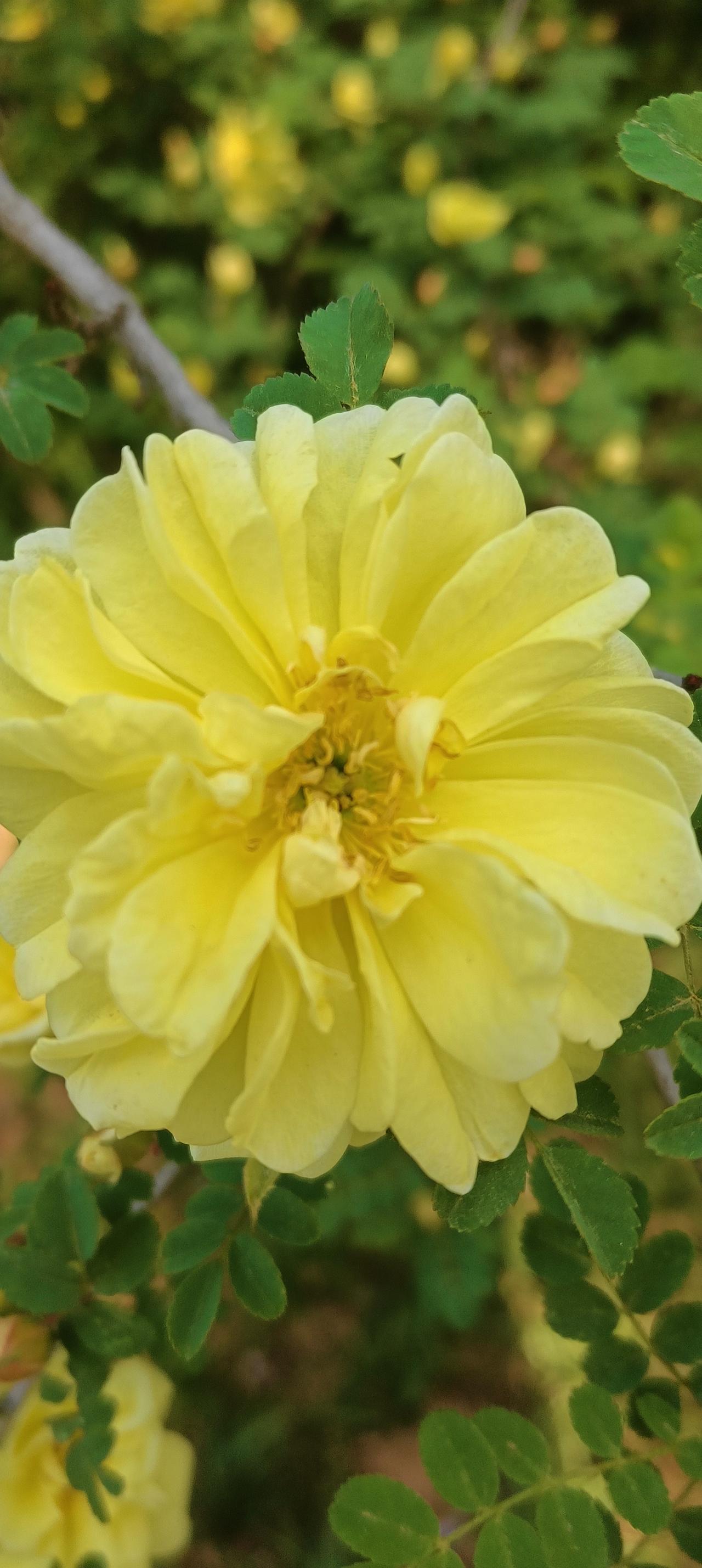 一个读者给我留言。她说上个月工资4200，房租1300，吃饭花了1600，给家里