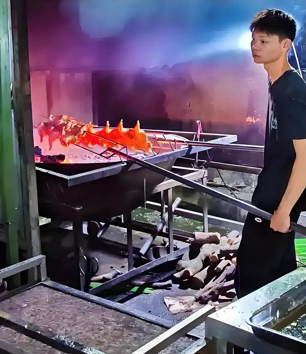 懂得做烤鸡
却不懂人性
烤鸡少年的梦想刚刚起步
直接被掐灭在摇篮中
就算检测结果