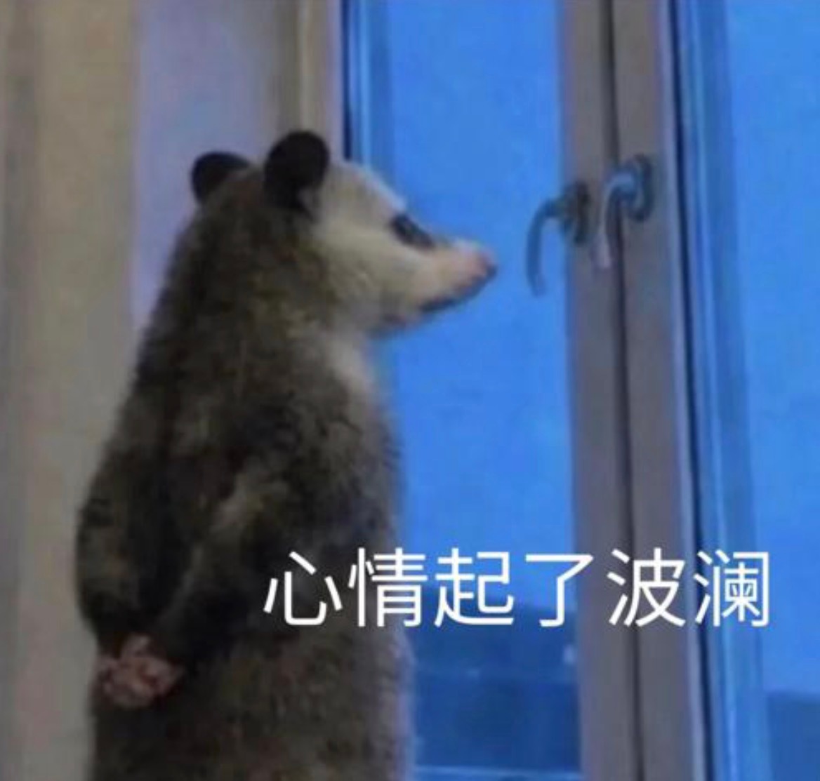 很好很好，有点盼头了。金价又涨了一点，虽然跟之前没法比，但好歹不是一直在下跌了