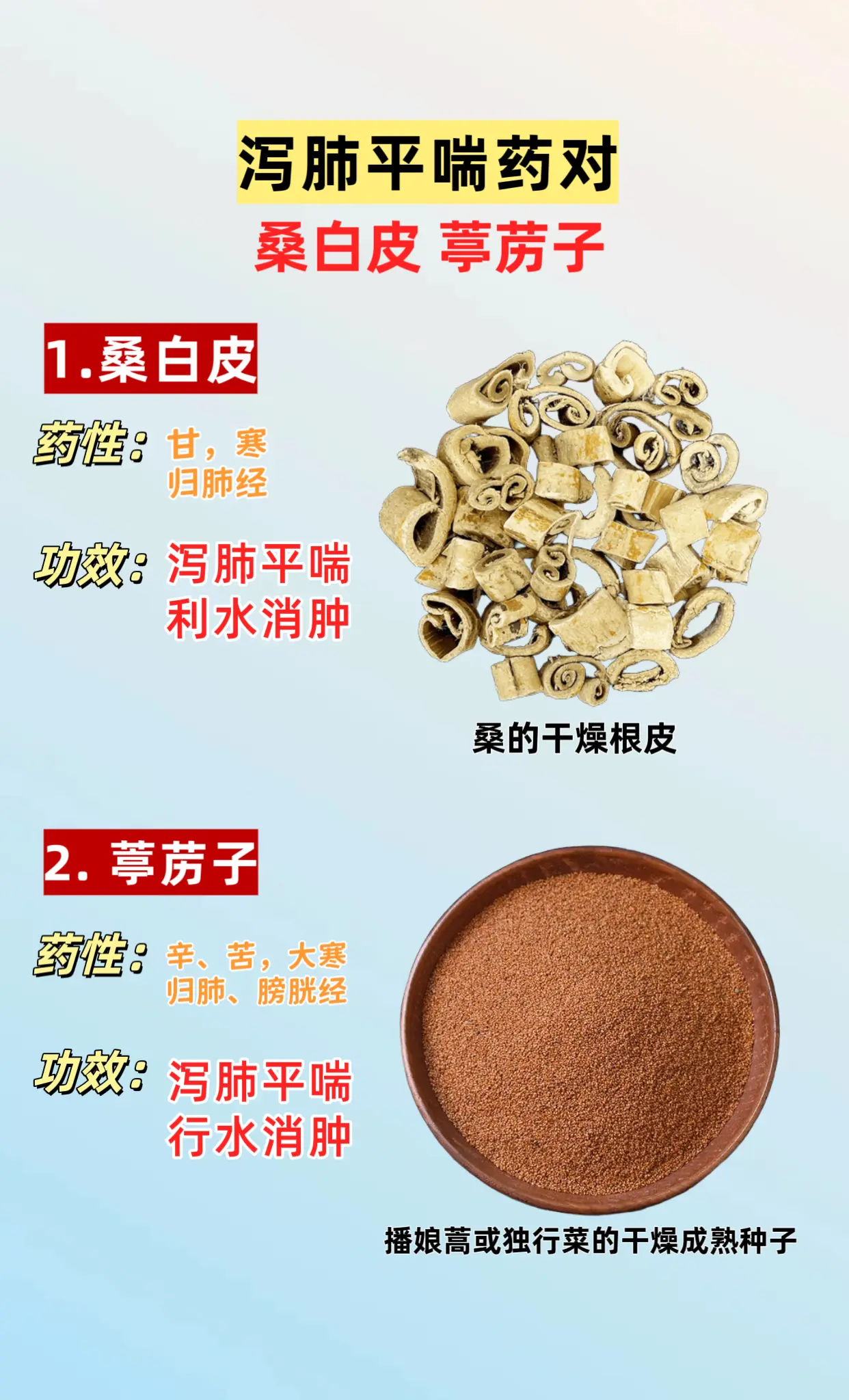 泻肺平喘药对。桑白皮 葶苈子