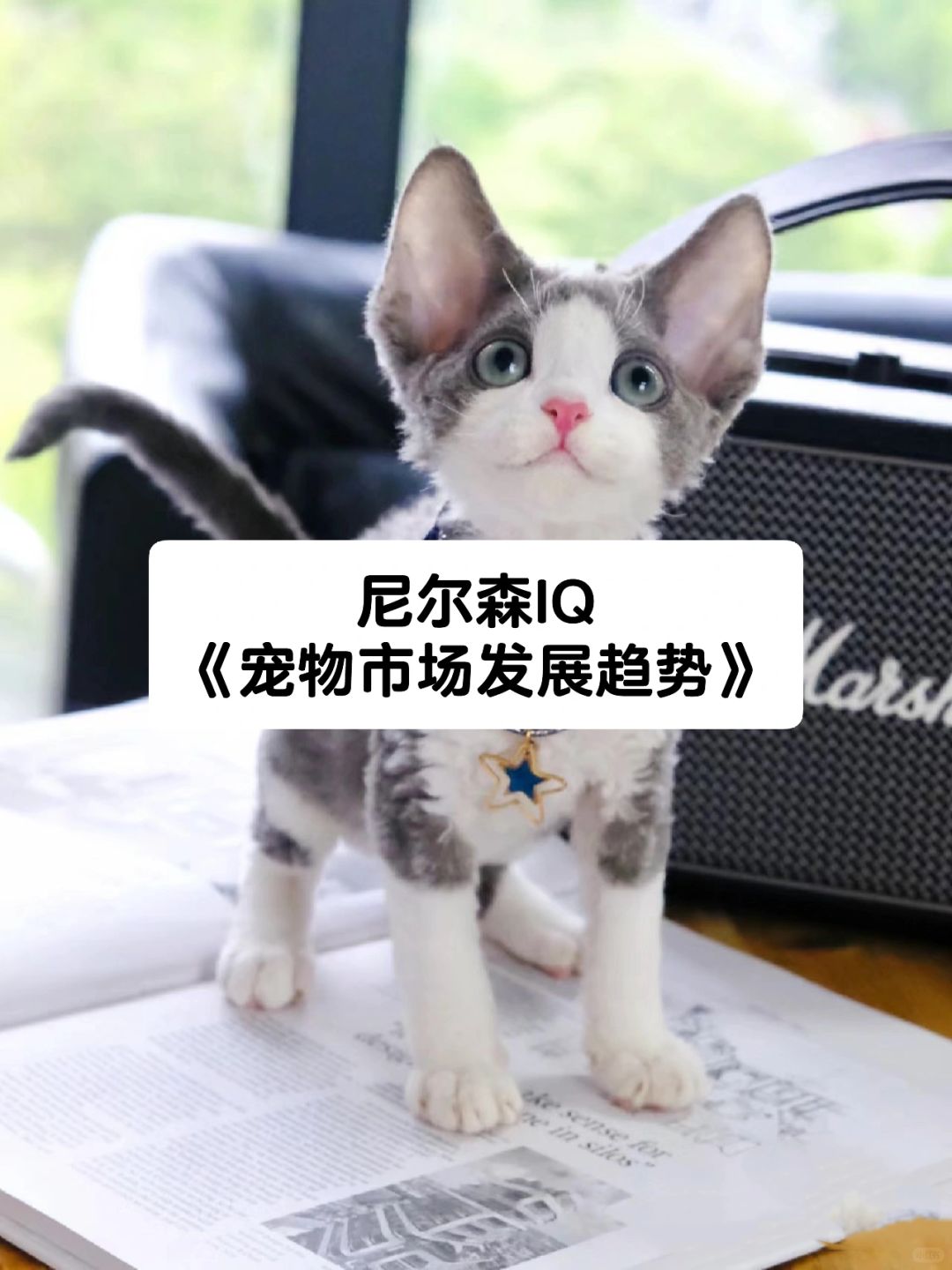 笔记｜尼尔森IQ《宠物市场发展趋势》
