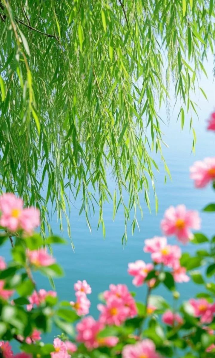 下联，请雅对
 下联；柳暗花明。

（题图来自网络）