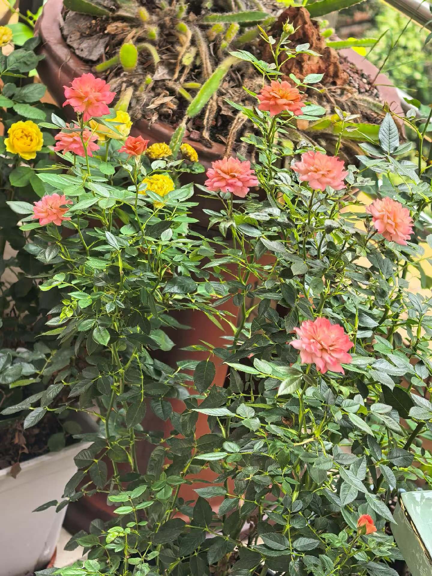 日子慢慢过，美好都会如约而至，不必慌张，你想要的都在路上。 允许一切发生，也接受