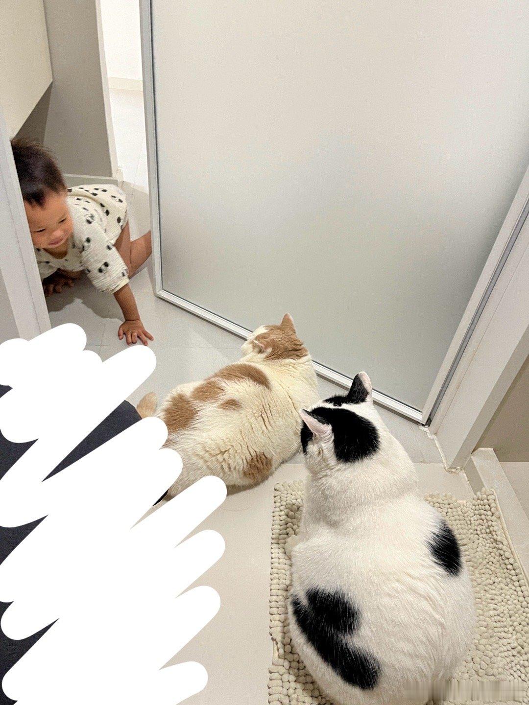 我在窝粑粑[苦涩] ​​​