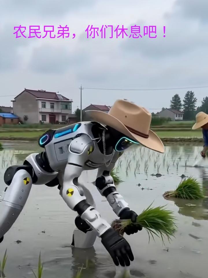 当智能机器人占据了社会各领域后，大批人力资源过剩被解雇回家，这些技术革命的产物被