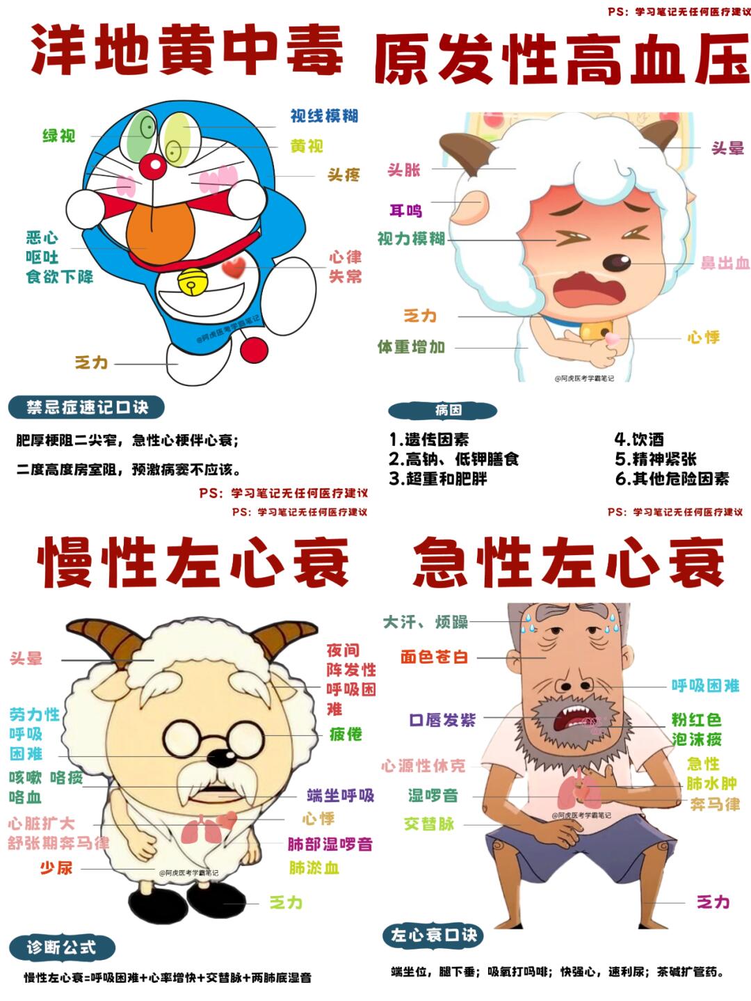 阿虎医考学霸笔记：循环系统（上）