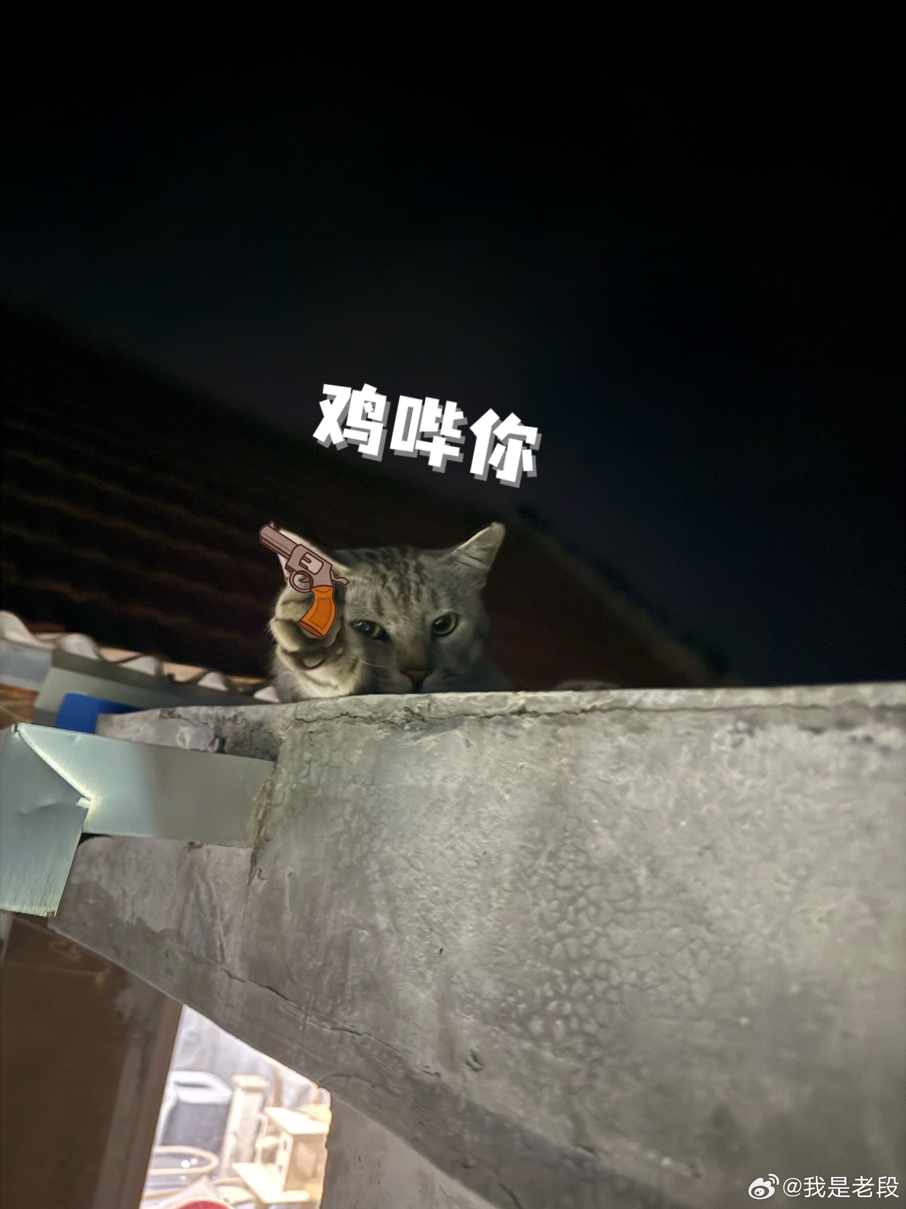 谁懂大半夜上厕所，一抬头差点被吓尿的那种既视感