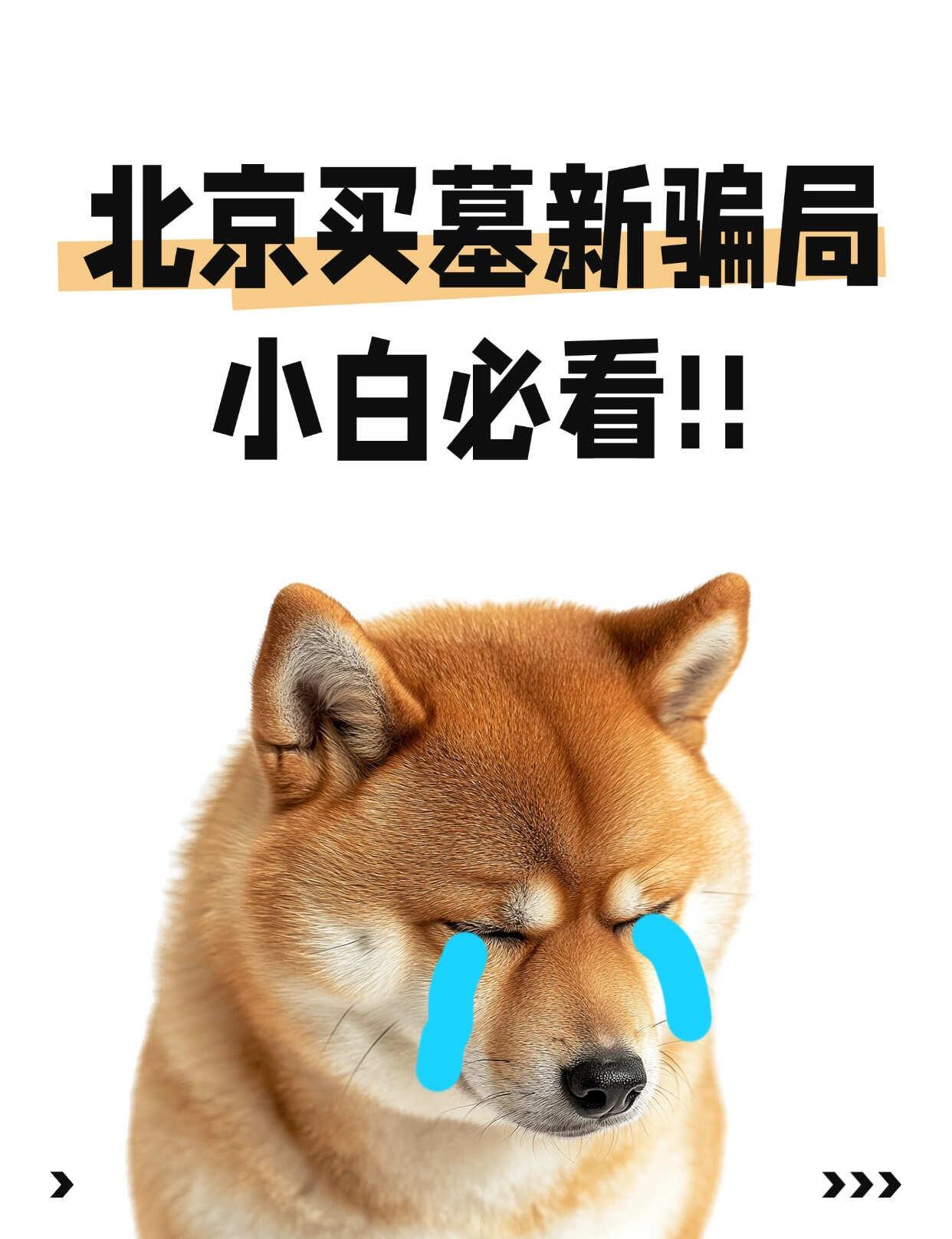 北京买墓新骗局——小白必看
1、近期发现了一个奇怪的现象，有几个家属发来视频图片