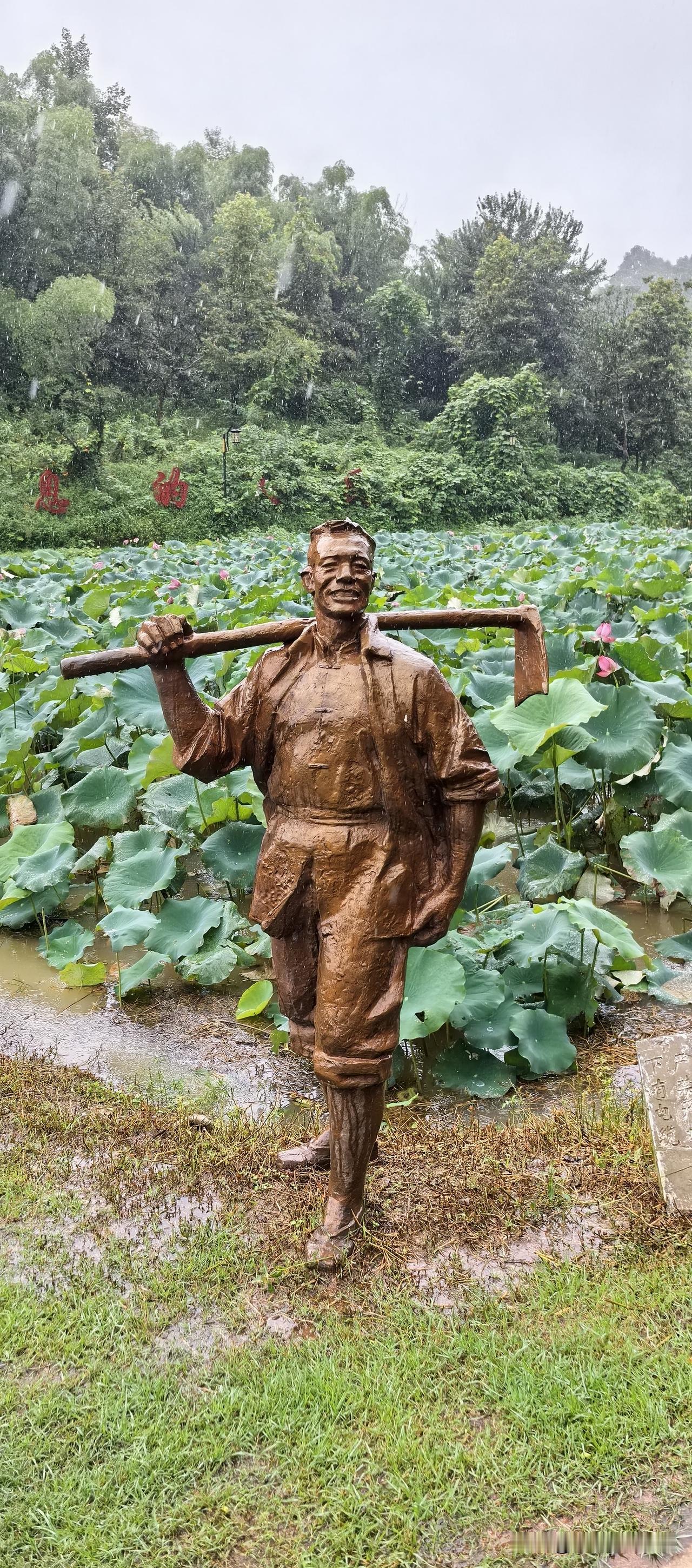到了益阳！

一个充满“湘味”的南方小城，阴雨绵绵不断，即便在三伏天的末期都感到