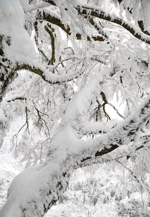 #上联：硕果累累秋分至，诚邀下联#
下联：寒风潇潇大雪到