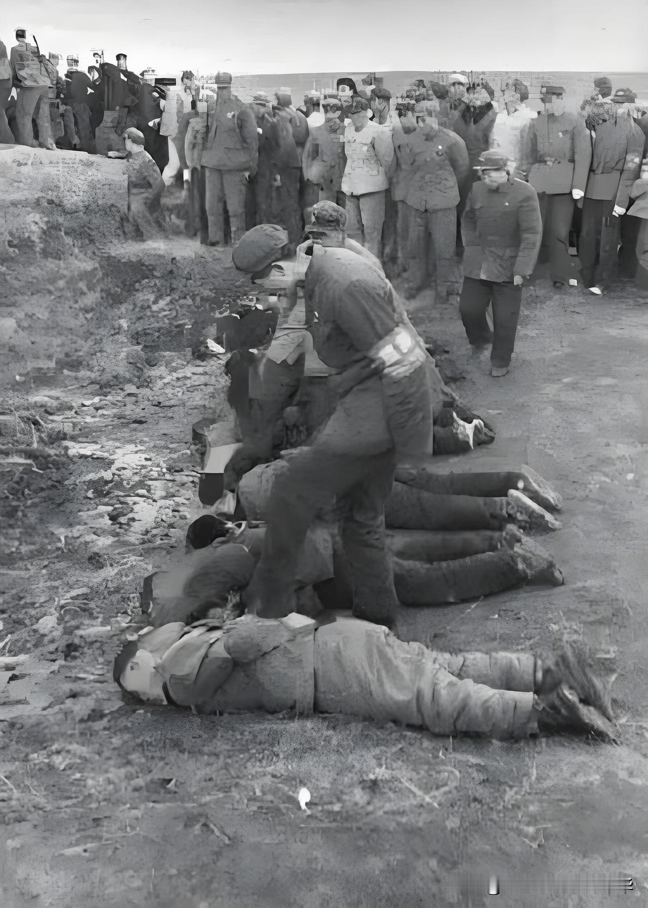 六十年代郊外露天刑场，一场公判处决过后，数名受刑者倒在地上，已然没有生命迹象。一