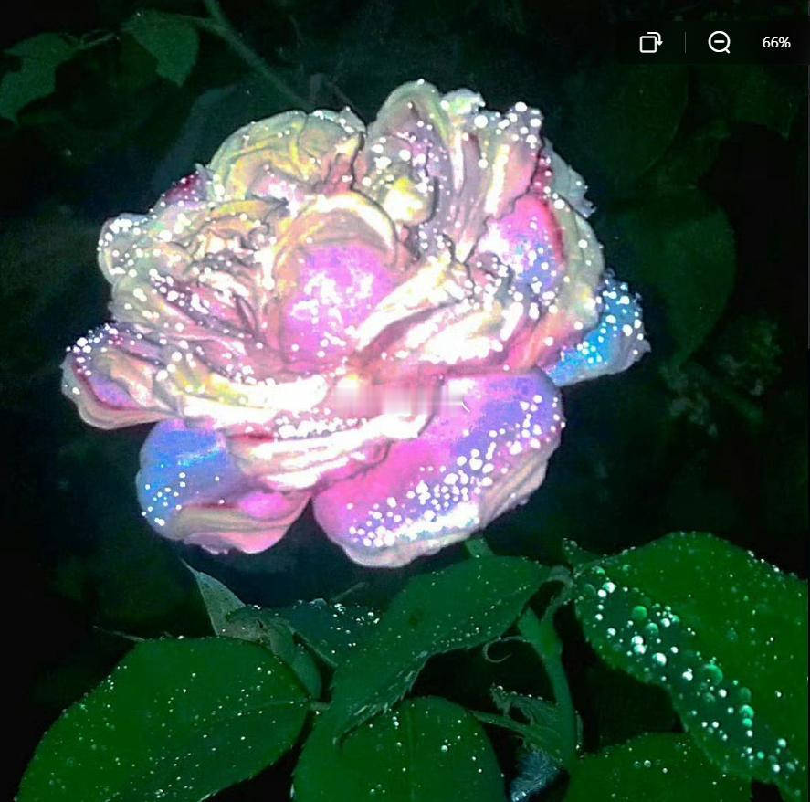 刷到七色花 不要无视  超灵的