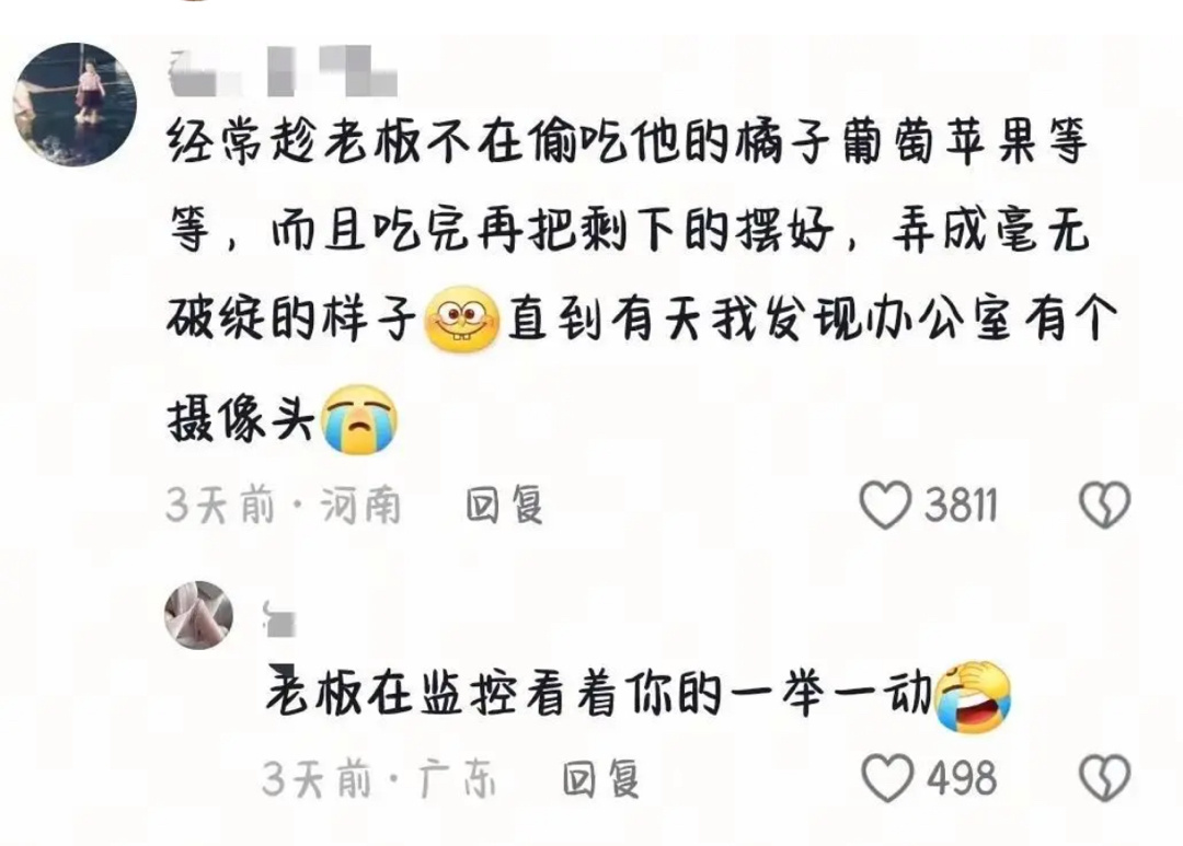 与00后同事的松弛感 ​​​