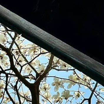每日一善[超话][呵呵]‎每日一善 [呵呵]‎阳光‎信用 努力去做一个温暖的人,