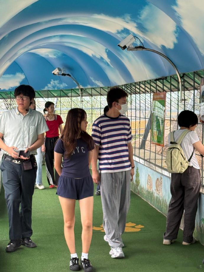 13岁甜馨这么高了甜馨13岁腿长 甜馨越长越高了！在虎园和爸爸站在一起时，已经到