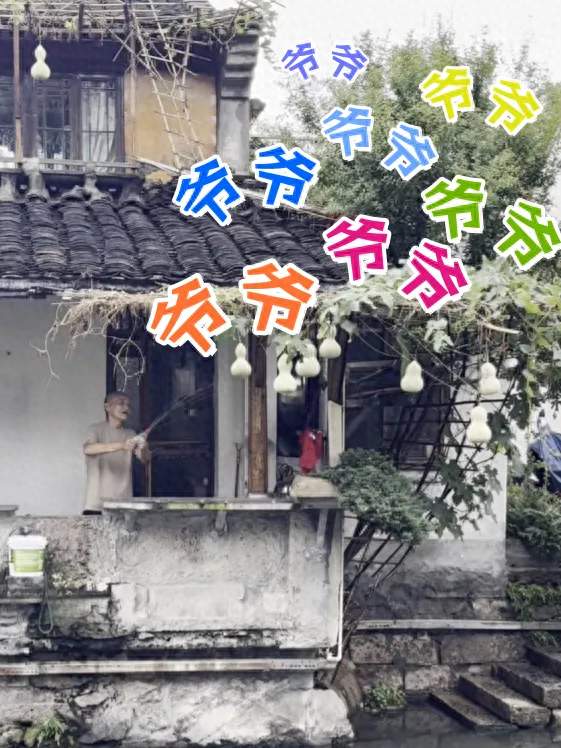 “网红葫芦”被连夜剪掉，打卡不能越界