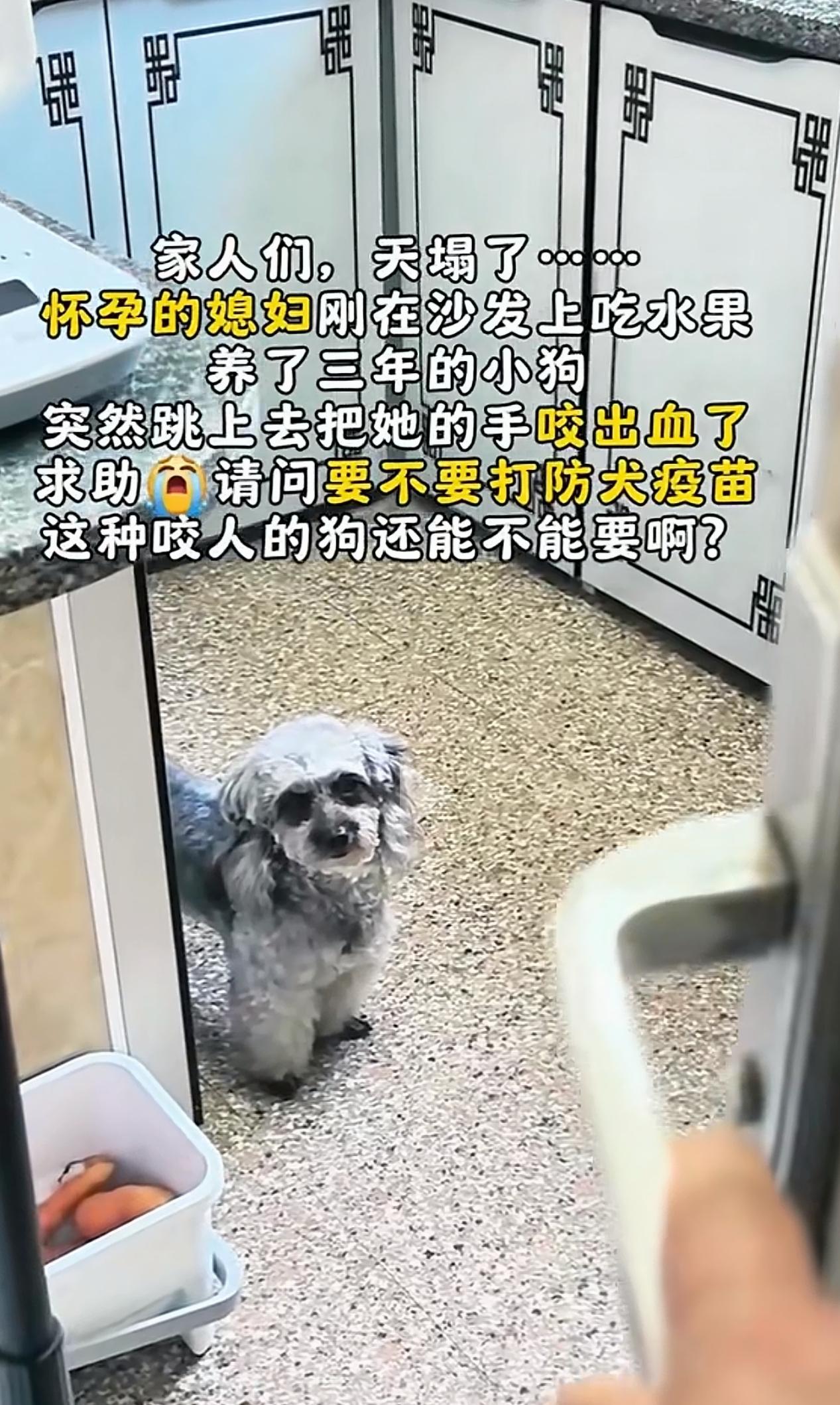 需要打狂犬病疫苗，狗也不能要了，咬人的狗，必须处理掉。