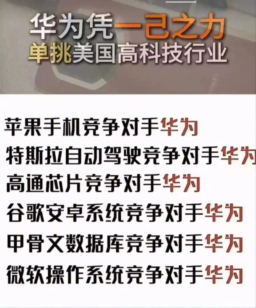 网友：为什么华为能凭一己之力单挑美国高科技行业？ 