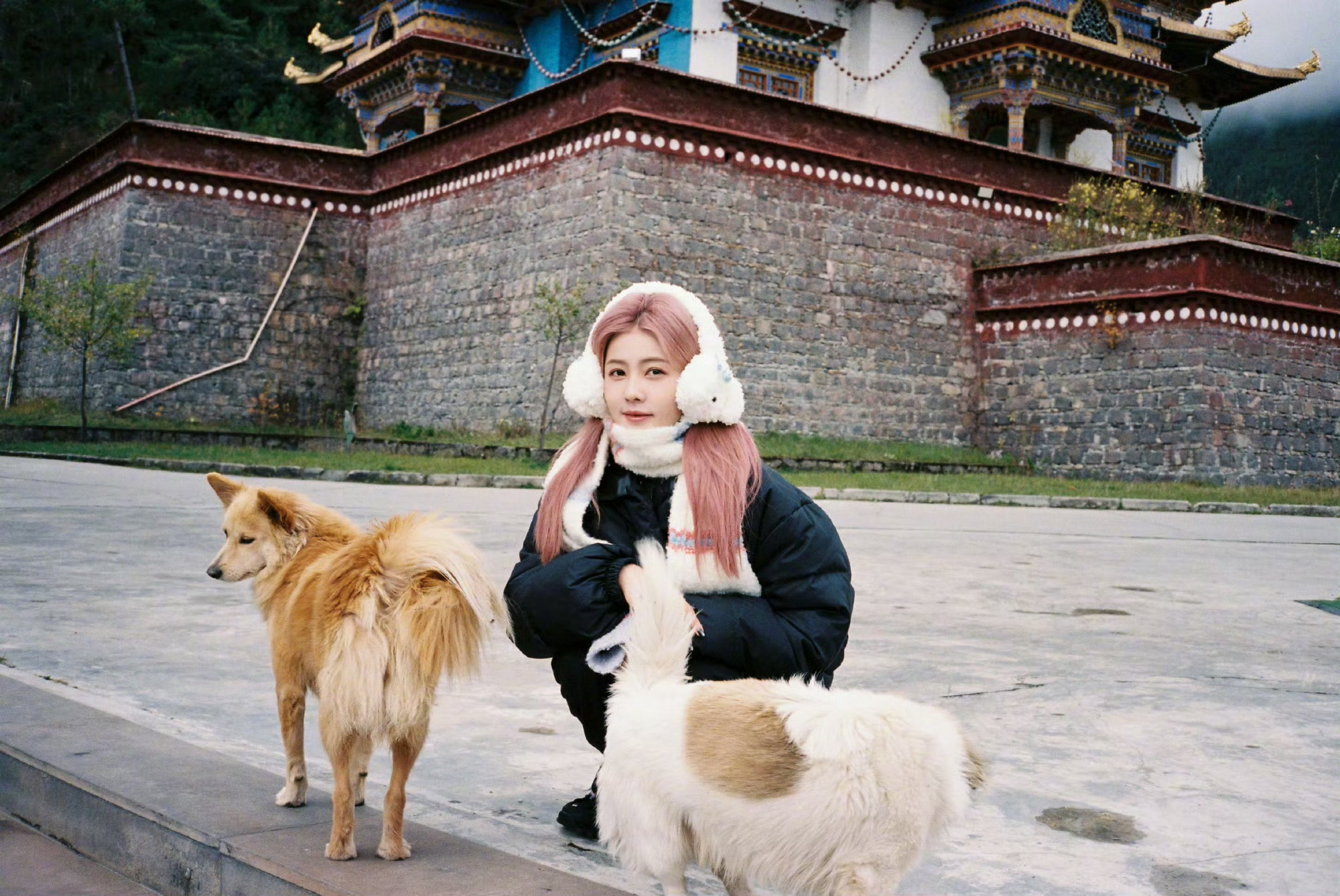 白鹿粉发返场ing，好漂亮的鹿鹿啊完全就是小朋友