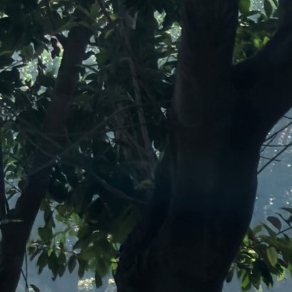 1000路在脚下，用心去走。只要你肯迈步。路就会在你脚下延伸。青年人，更重要的是