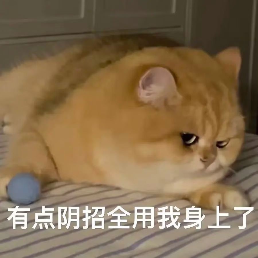 对AI太凶它会崩这个崩不崩的不好说，但一个正常人应该学会平静的跟他人交流，即使对