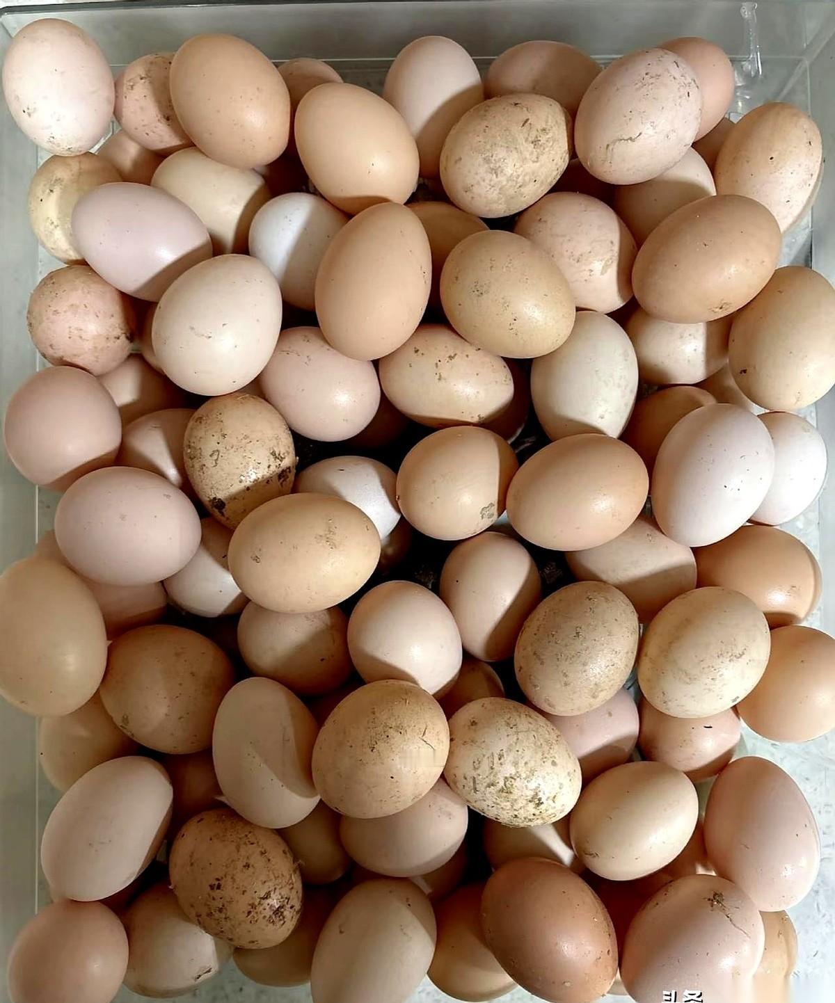 我发誓，我一打开冰箱门，差点当场去世。
满满一抽屉鸡蛋，重点是，好多上面都还粘着