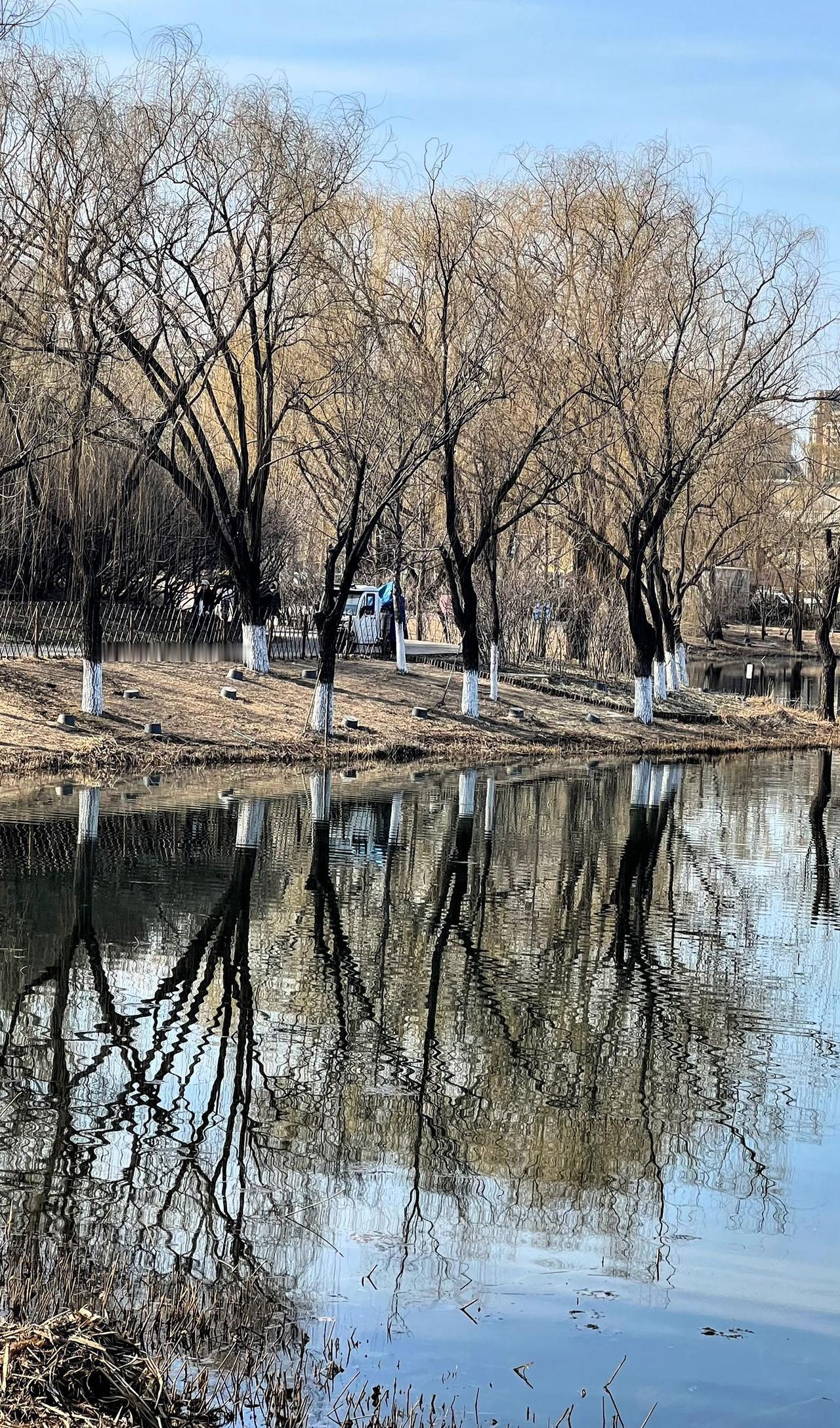 分享一张最近随手拍的照片