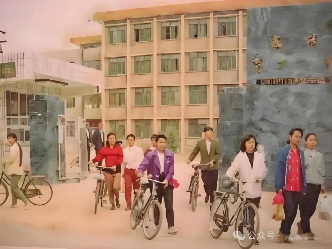 育才中学、秦都中学、渭城中学，这三所承载了我青春年华的母校，如今早已变了模样，唯