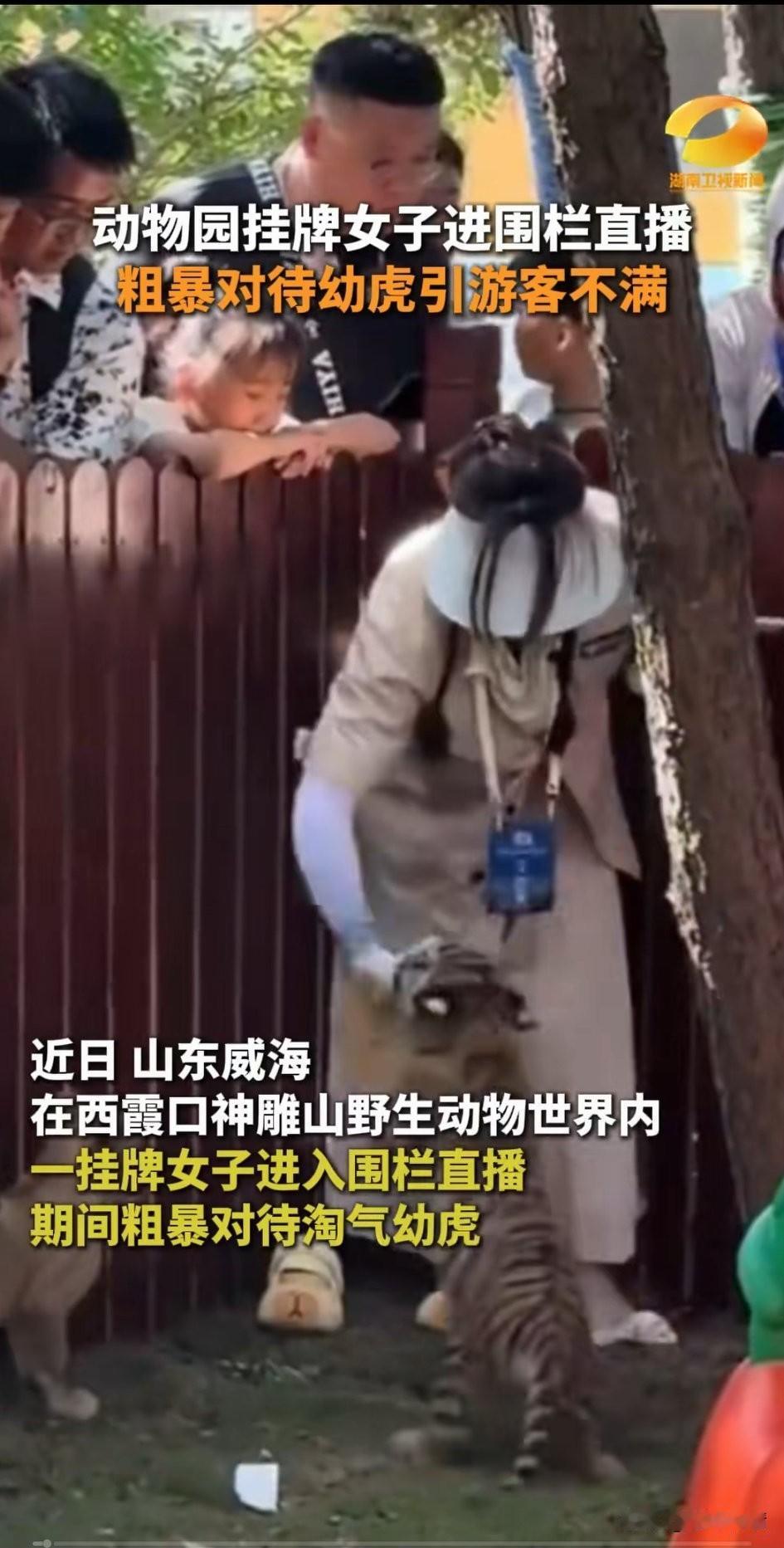 女子跳进野生动物园内殴打小动物，
引起了动物保护人士的不满，
大家纷纷指责女子太