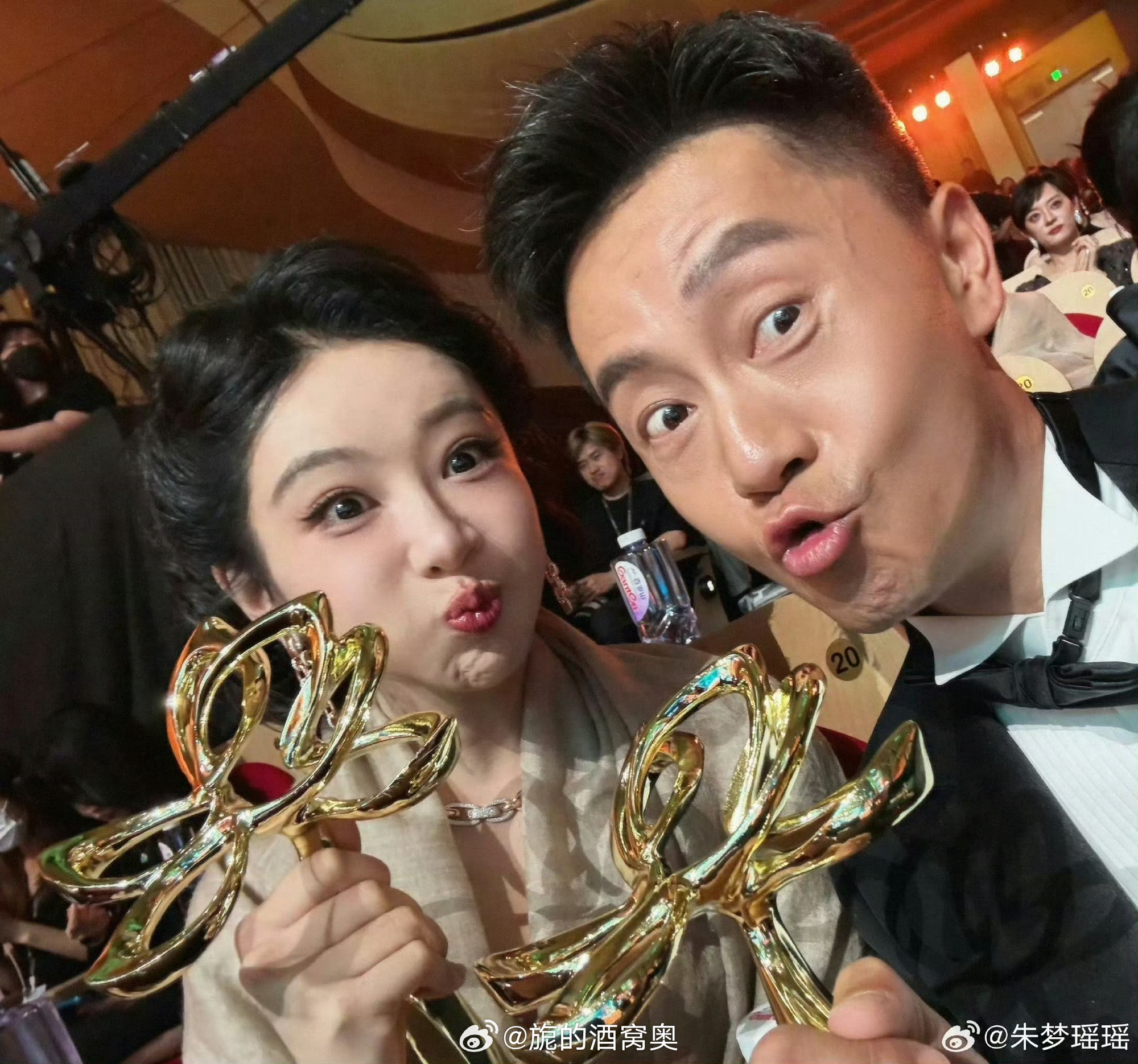 恭喜最佳导演和最佳女主角恭喜生命树！杨紫白玉兰视后