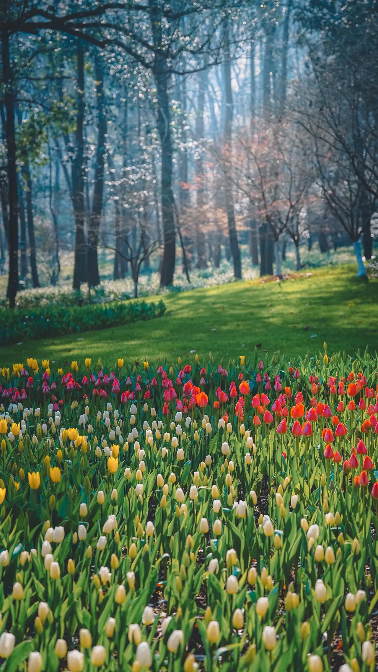 期中考试刚结束，我接待了一位学生家长，家长把孩子的化学试卷拿给我看，我当时就愣住