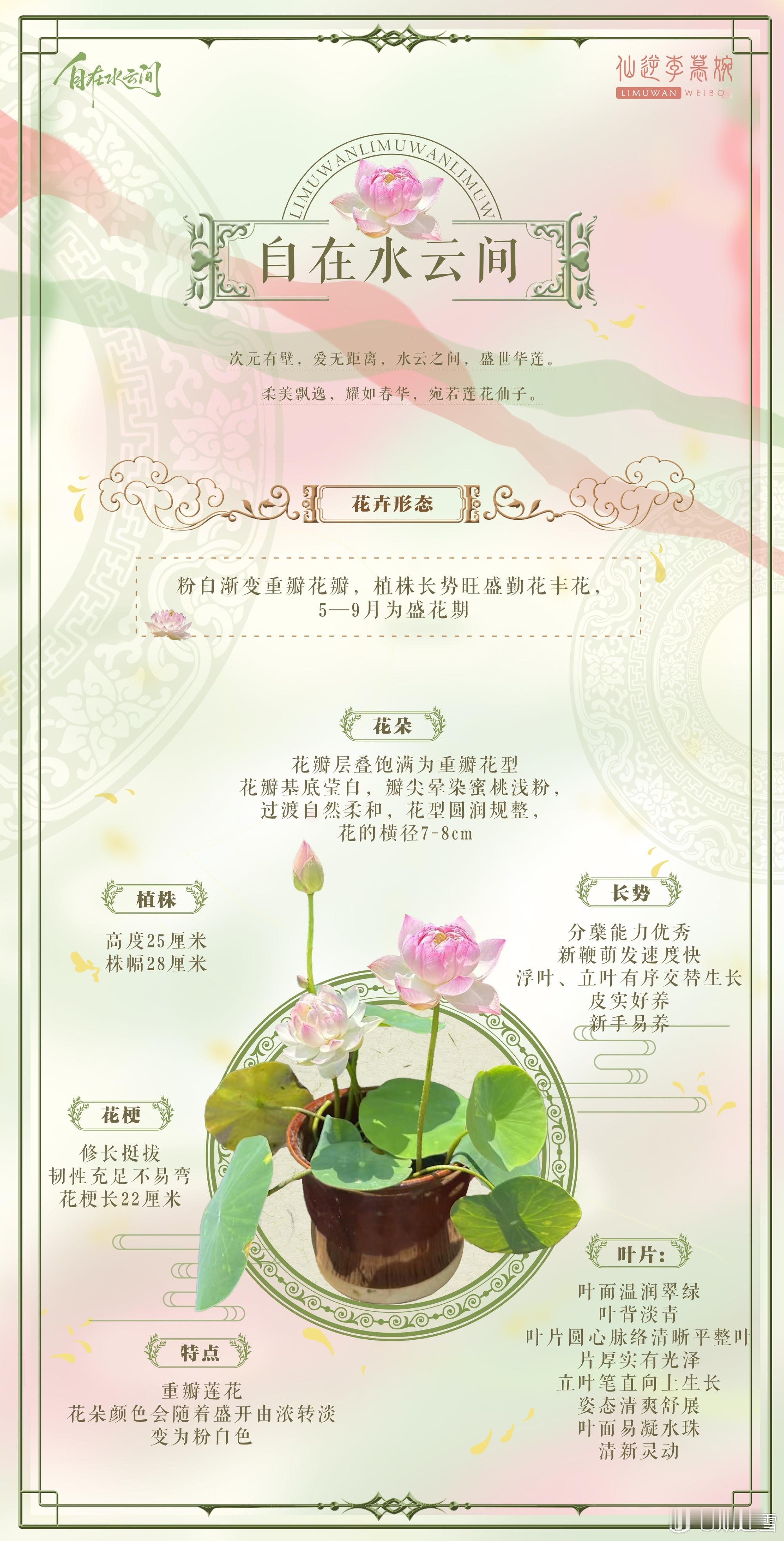 有一朵莲花真的叫慕婉🥺🤲🏻🤲🏻仙逆｜李慕婉｜李慕婉2026生日活动 
