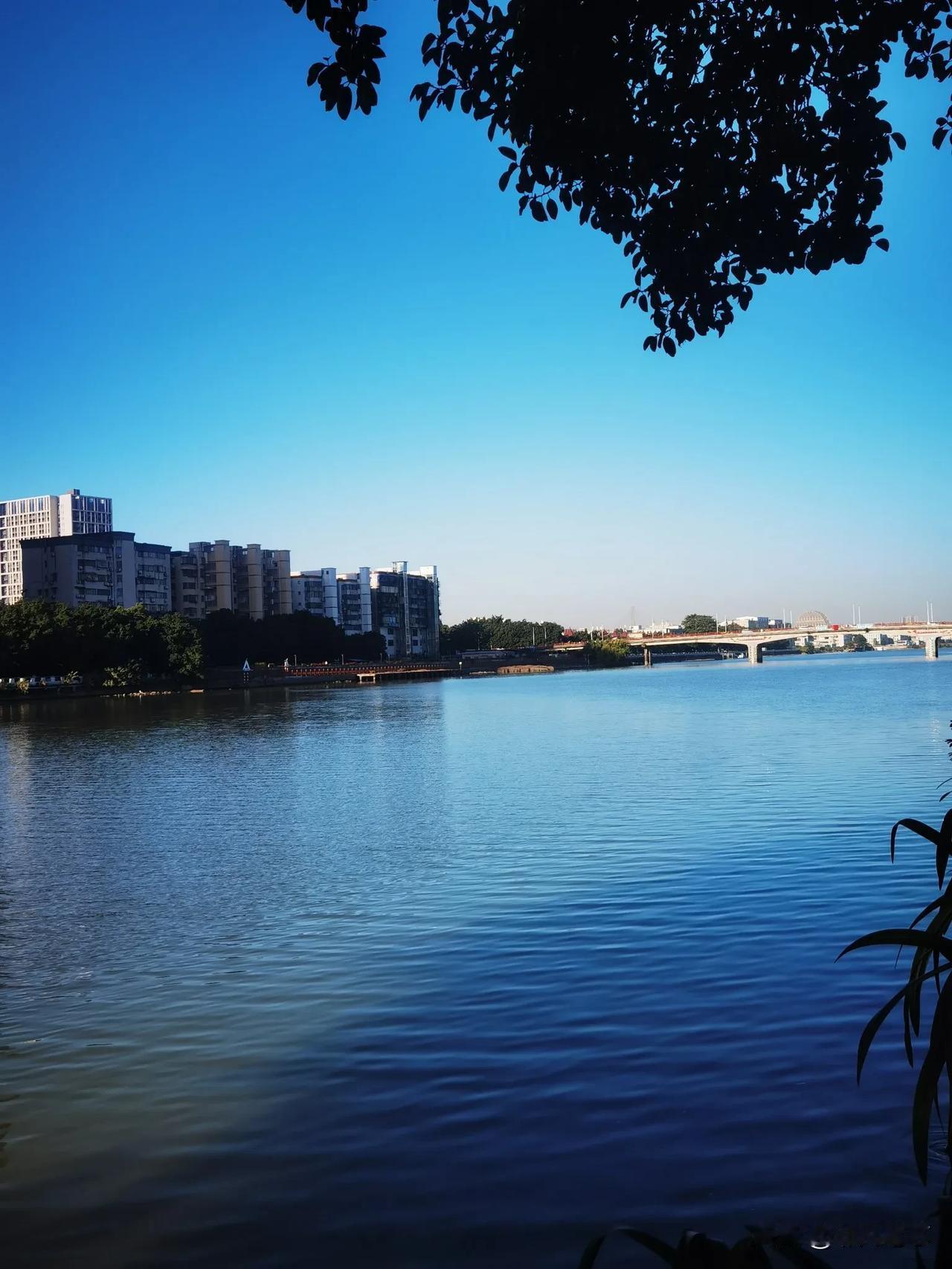 冬日生活打卡季蔚蓝的天空，水天一色，椰子树跟蓝天很衬哟！[玫瑰]