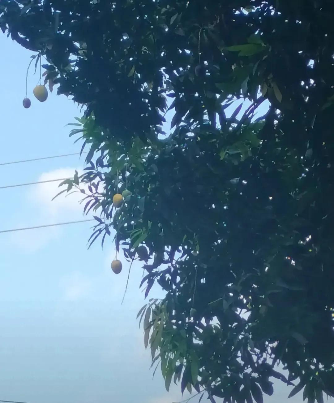 秋天到了，不知你们的城市，是不是也有这种的烦恼
         骑着电动车下班