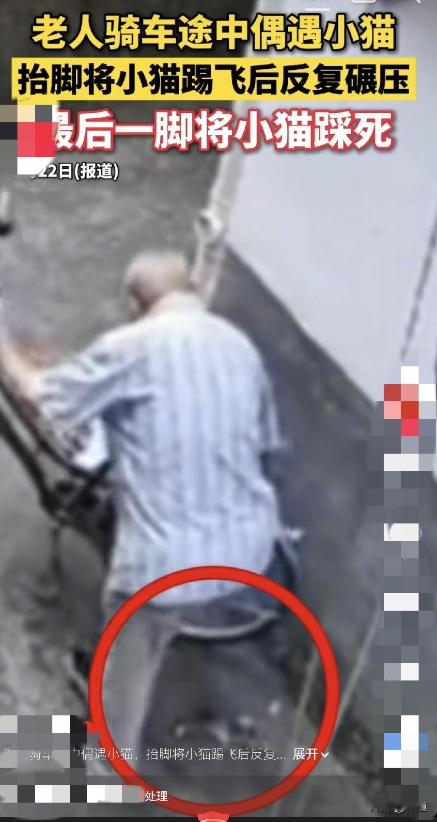 一个老爷子推着自行车路过墙角时，看到一只小猫咪，他一抬脚就给小猫仔踢飞了。随后又