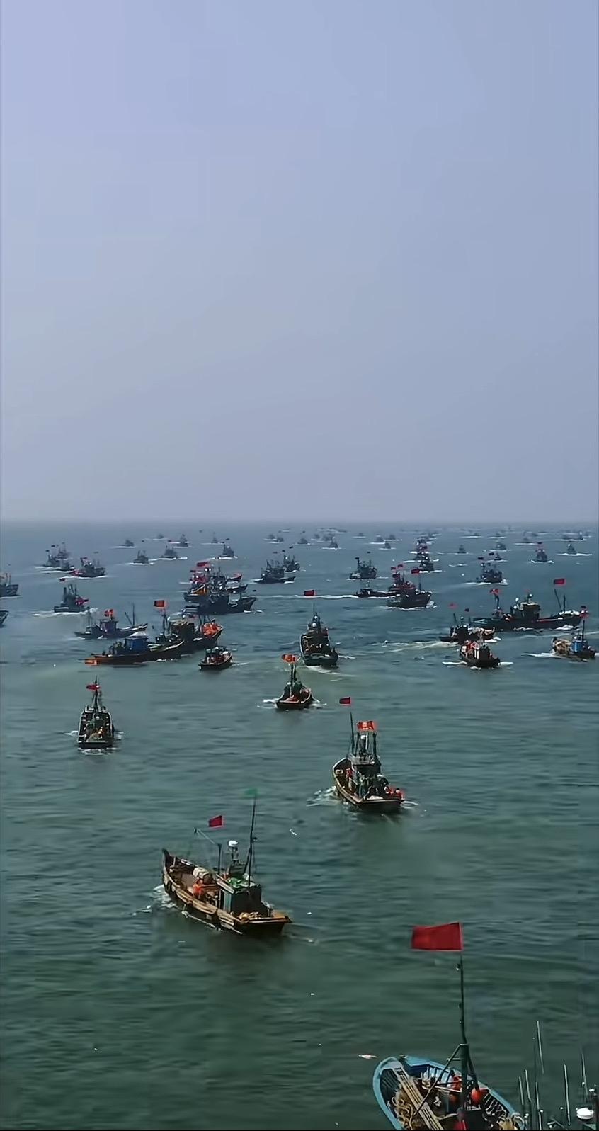 海上渔船忙碌，红帆点点，丰收在望！🌊🐟🚢