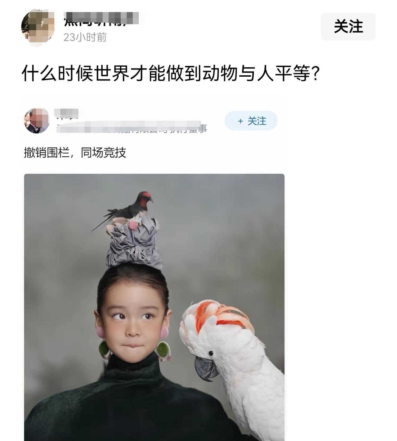 又有人在问：“什么时候世界才能做到动物与人平等？”
当我们的老祖宗拿起工具，能识