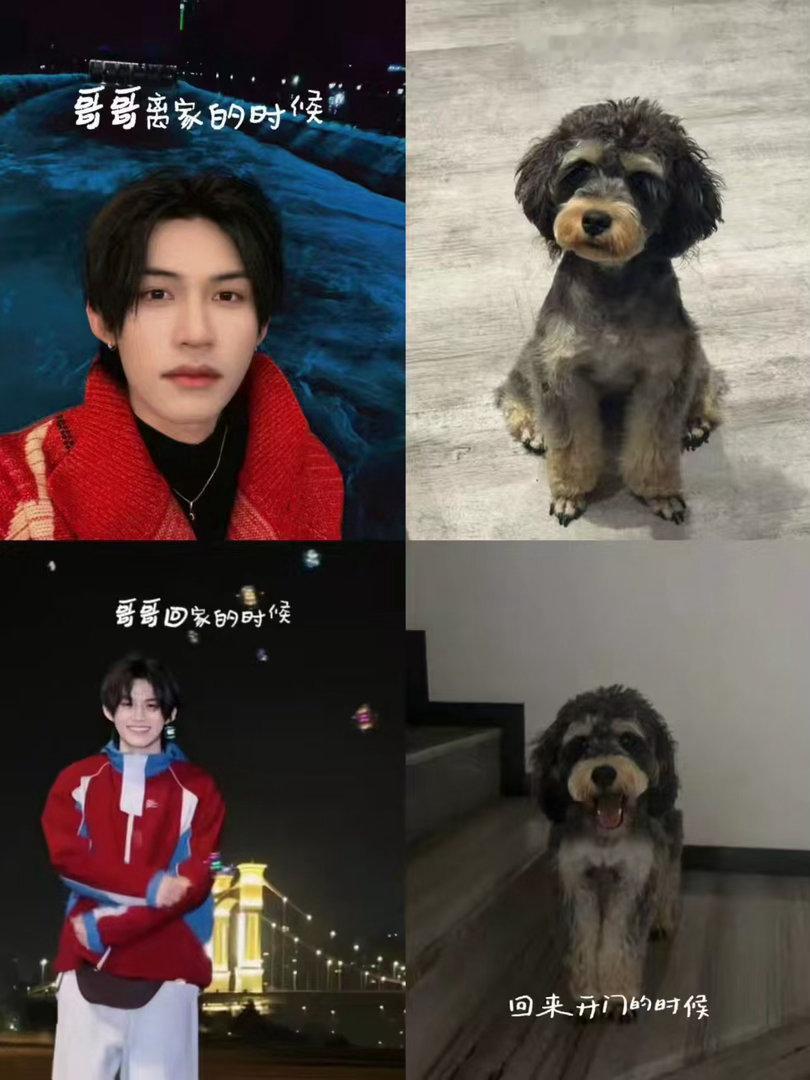 太像了吧哈哈哈哈哈普普家里有两只小狗🐶 
