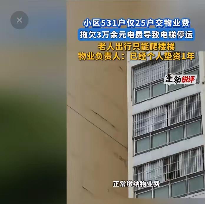 官媒怒评！531户小区仅25户交物业费，没有一个赢家！
 
谁看了不揪心？一个5