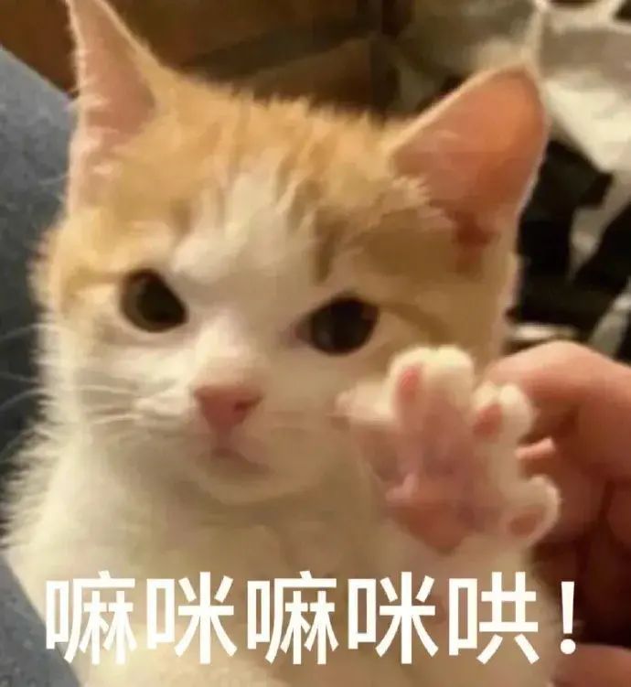 给新球迷的世界杯观赛指南以防你不认识这些顶流传奇球星 一份贴心观赛指南送给刚入坑