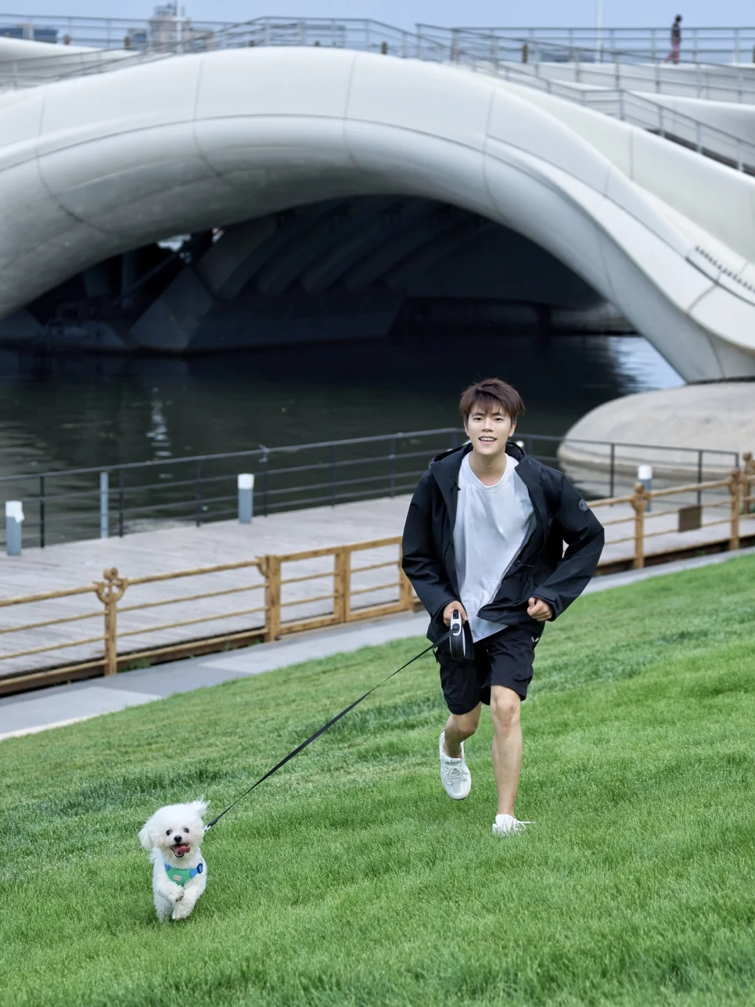 这个世界不能没有小狗🐶