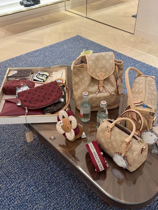 Lv 猫猫联名过分可爱